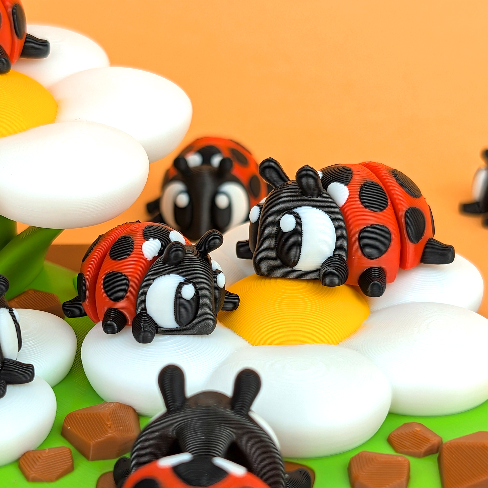 Flower Patch Display Set – A Home for Your Desk Companions