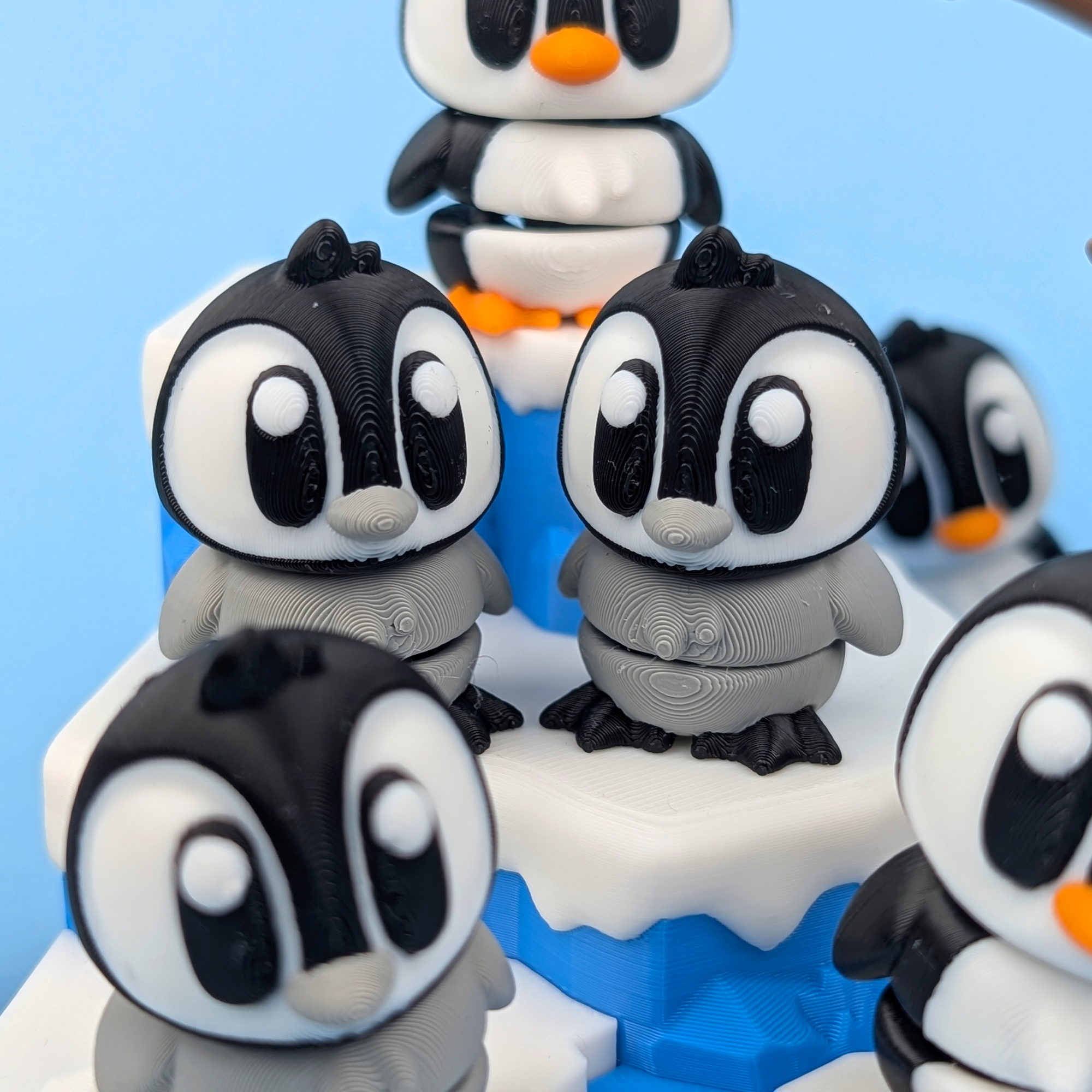 Antarctic Display Set – A Home for Your Desk Companions