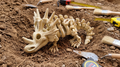 Flexi Skeleton Styracosaurus – Articulated 3D‑Printed Dinosaur Friend